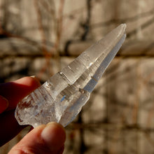 Load image into Gallery viewer, Colombian Lemurian Seed Quartz Crystal Laser Starbrary Record Keepers
