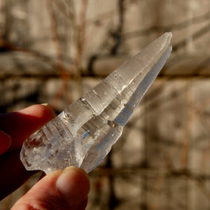 Colombian Lemurian Seed Quartz Crystal Laser Starbrary Record Keepers