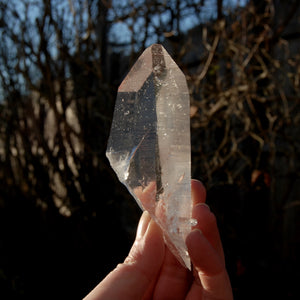 Colombian Lemurian Seed Quartz Crystal Tabby