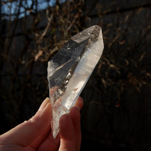 Colombian Lemurian Seed Quartz Crystal Tabby