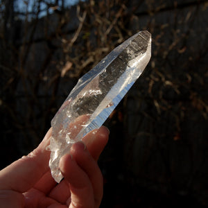 Colombian Lemurian Seed Quartz Crystal Tabby