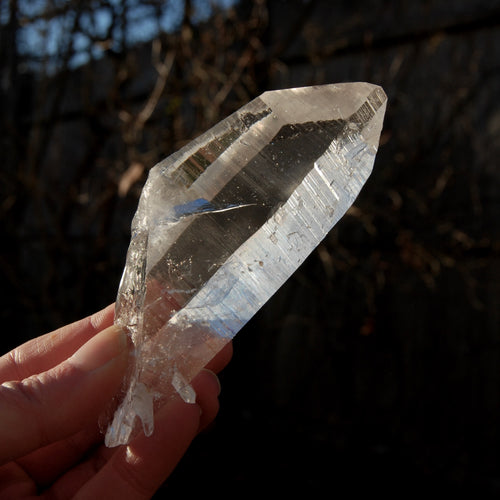 Colombian Lemurian Seed Quartz Crystal Tabby