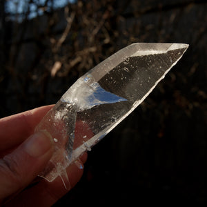 Colombian Lemurian Seed Quartz Crystal Tabby