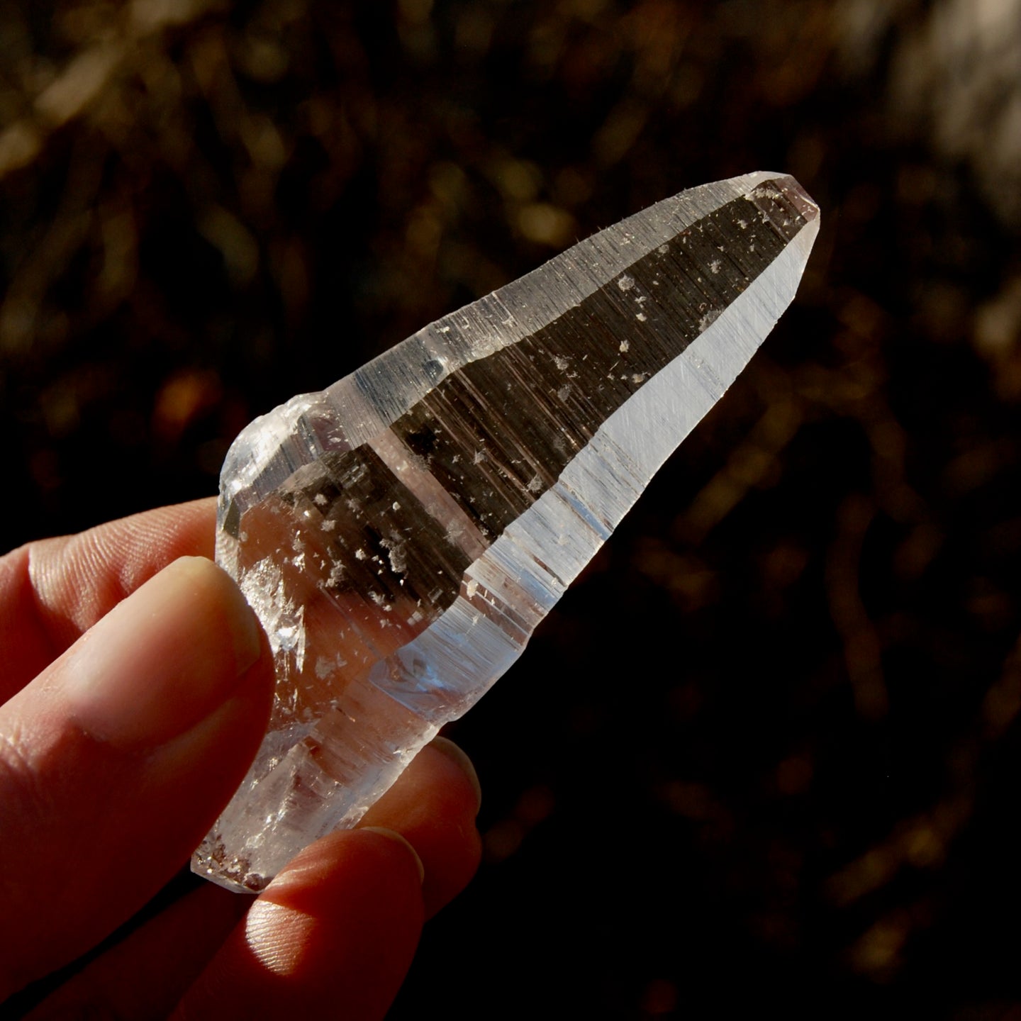 Colombian Lemurian Seed Quartz Crystal Laser Starbrary Record Keepers