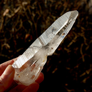 ET DT Colombian Lemurian Seed Quartz Crystal Laser Record Keeper