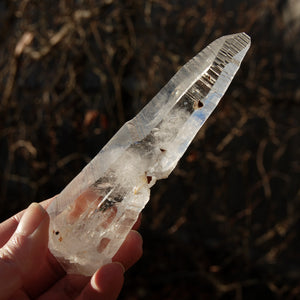 ET DT Colombian Lemurian Seed Quartz Crystal Laser Record Keeper