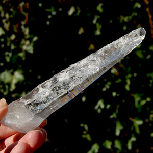 Trigonic Record Keeper Lemurian Seed Quartz Crystal