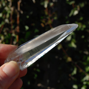 Lemurian Seed Quartz Crystal