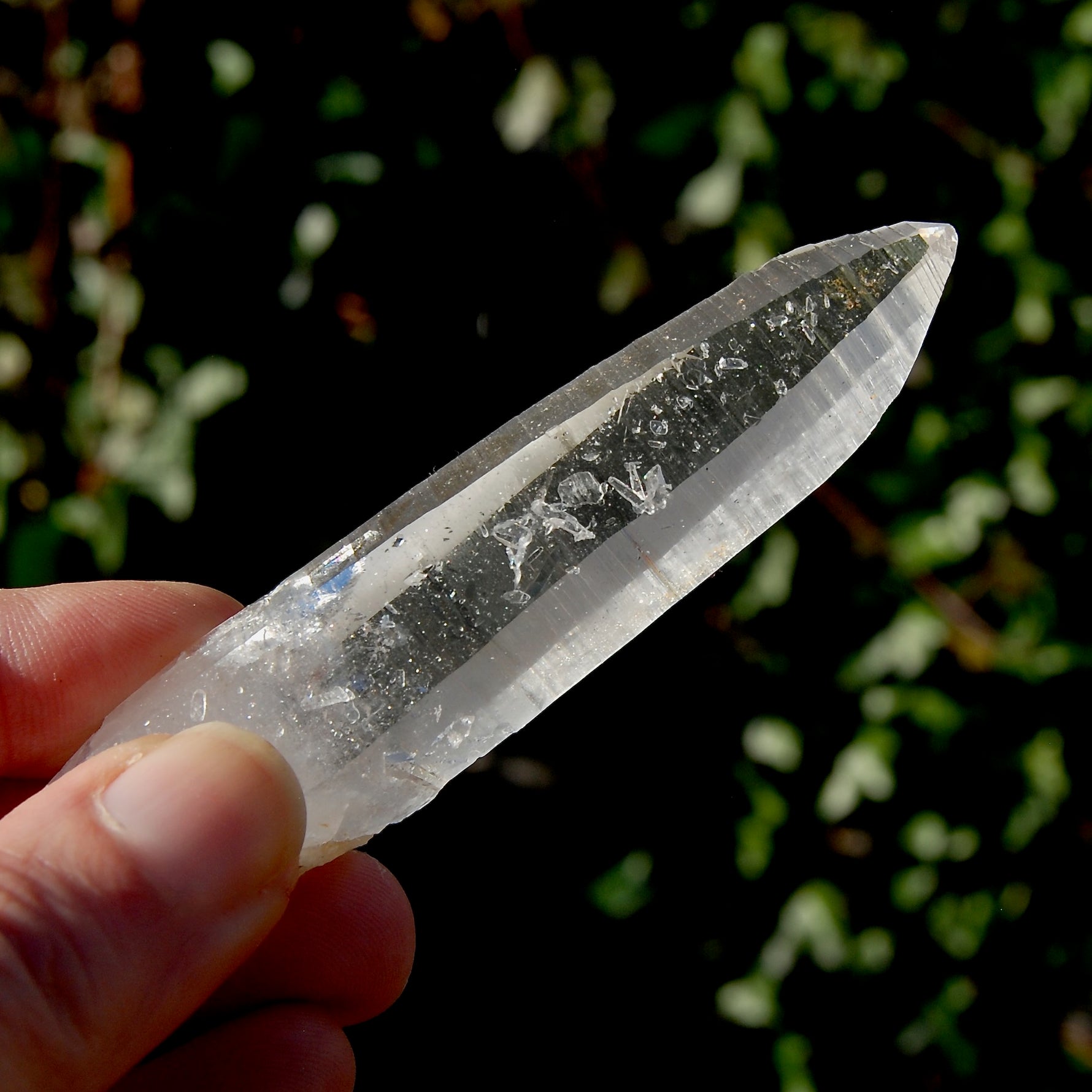 Lemurian Seed Quartz Crystal