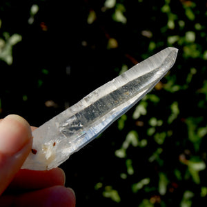 Lemurian Seed Quartz Crystal