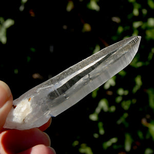 Lemurian Seed Quartz Crystal