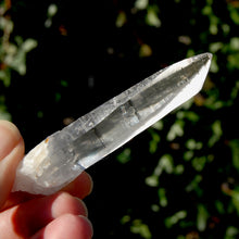 Load image into Gallery viewer, Lemurian Seed Quartz Crystal
