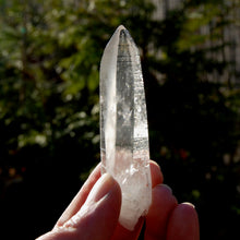 Load image into Gallery viewer, Lemurian Seed Quartz Crystal
