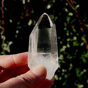 Tantric Twin Lemurian Seed Quartz Crystal