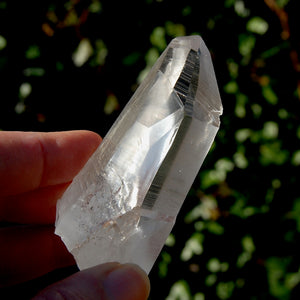 Tantric Twin Lemurian Seed Quartz Crystal