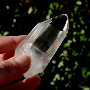 Tantric Twin Lemurian Seed Quartz Crystal