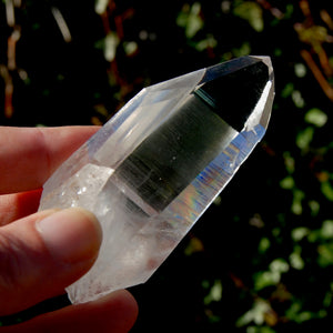 Tantric Twin Lemurian Seed Quartz Crystal