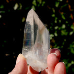 Tantric Twin Lemurian Seed Quartz Crystal