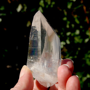 Tantric Twin Lemurian Seed Quartz Crystal