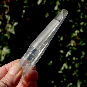 Colombian Lemurian Seed Quartz Crystal