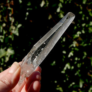 Colombian Lemurian Seed Quartz Crystal