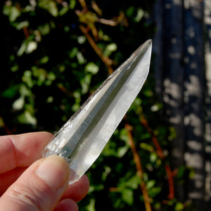 Lemurian Seed Quartz Crystal