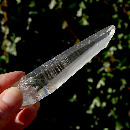 Colombian Lemurian Seed Quartz Crystal