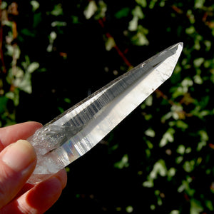 Colombian Lemurian Seed Quartz Crystal