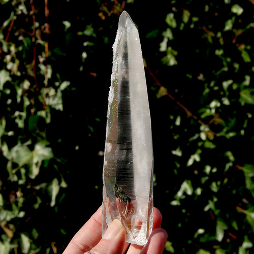 Colombian Lemurian Seed Quartz Crystal