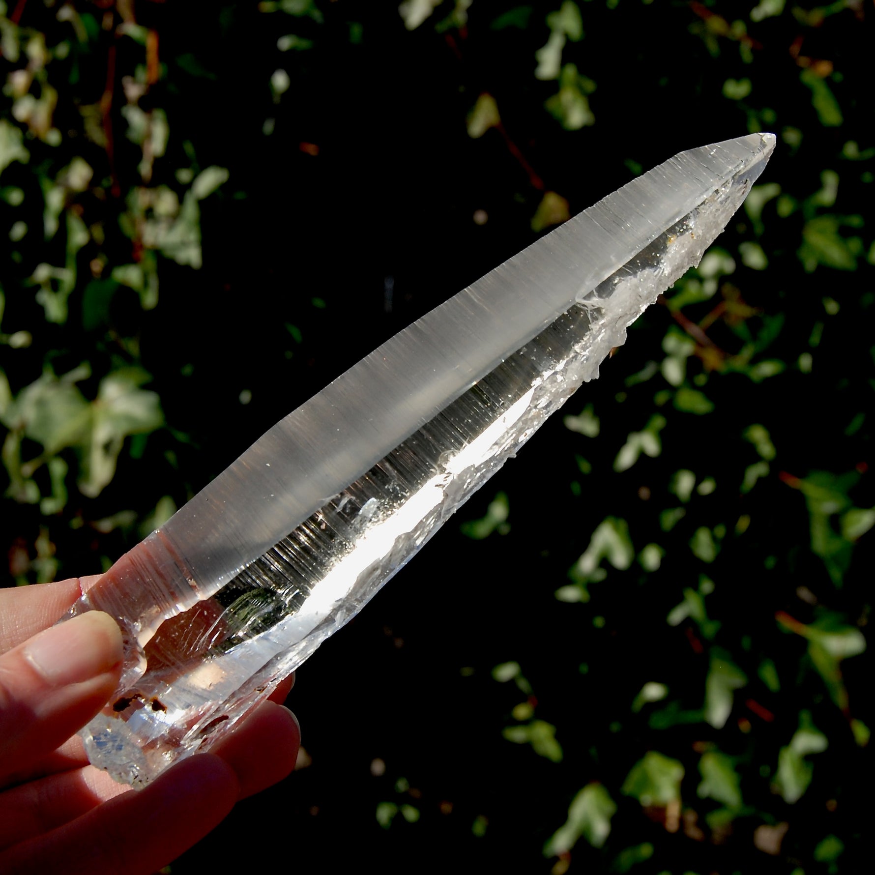 Colombian Lemurian Seed Quartz Crystal