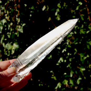 Colombian Lemurian Seed Quartz Crystal