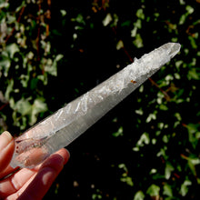 Load image into Gallery viewer, Colombian Lemurian Seed Quartz Crystal
