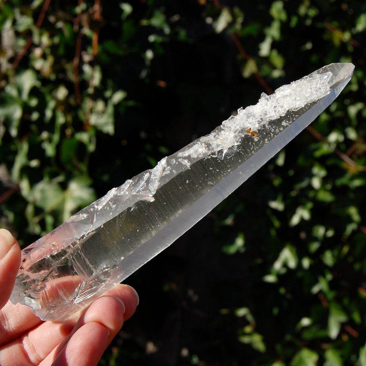 Colombian Lemurian Seed Quartz Crystal
