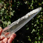Colombian Lemurian Seed Quartz Crystal