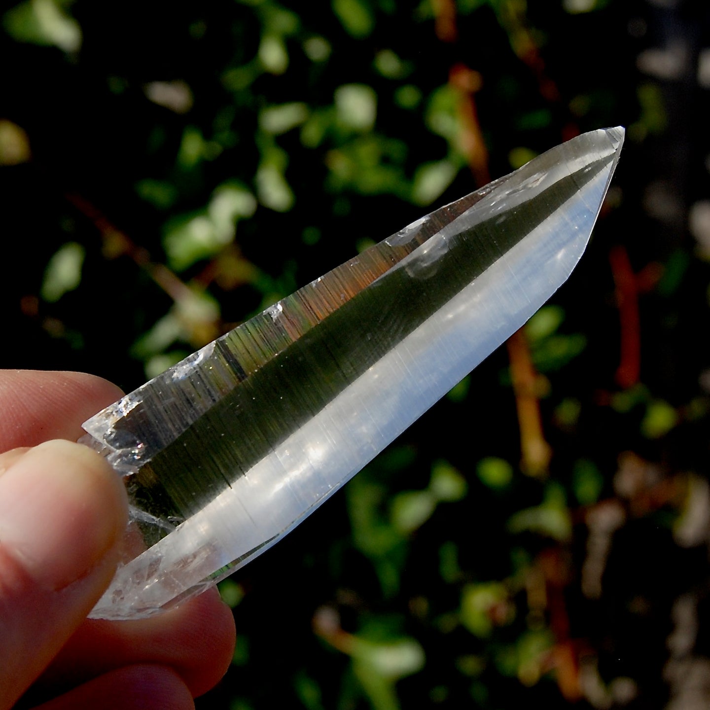 Lemurian Seed Quartz Crystal