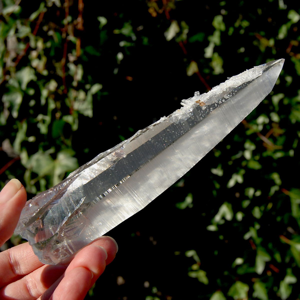 Colombian Lemurian Seed Quartz Crystal