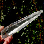 Colombian Lemurian Seed Quartz Crystal
