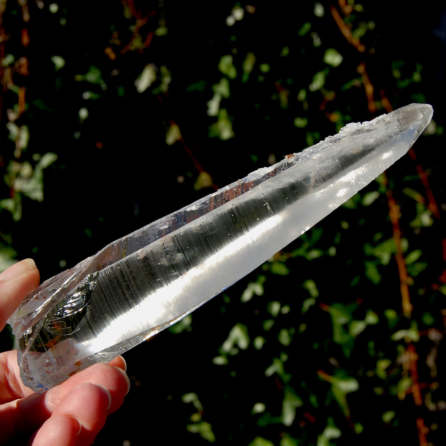 Colombian Lemurian Seed Quartz Crystal