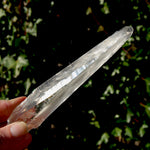 Colombian Lemurian Seed Quartz Crystal