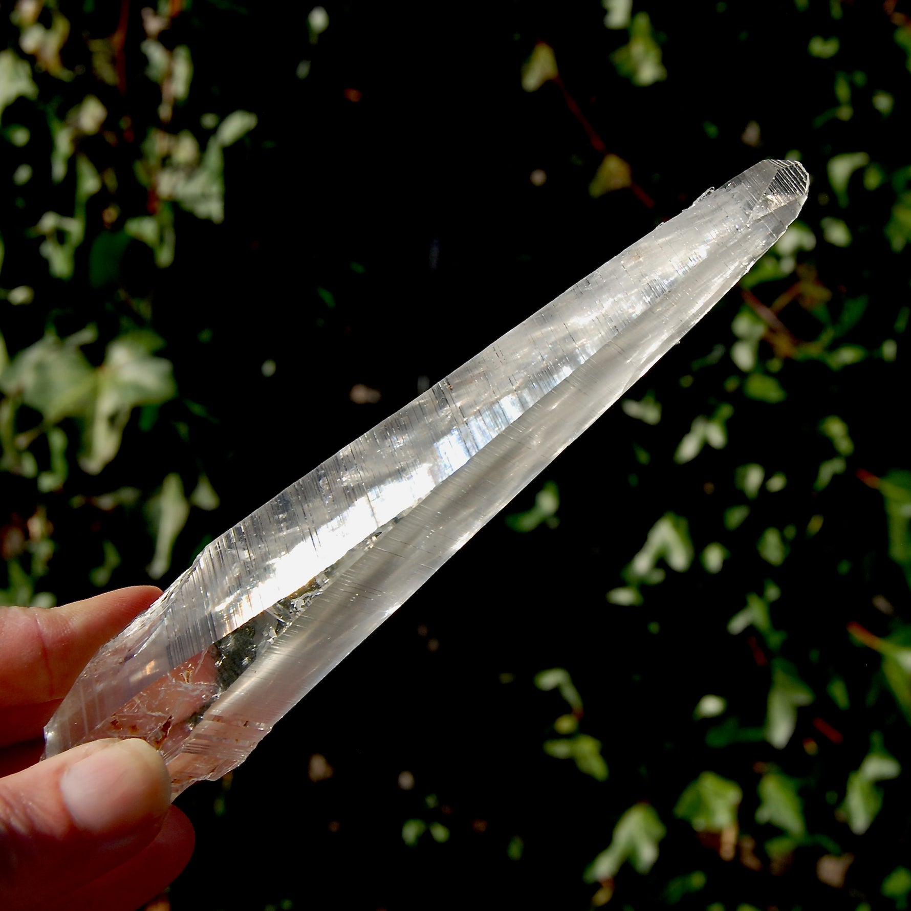 Colombian Lemurian Seed Quartz Crystal