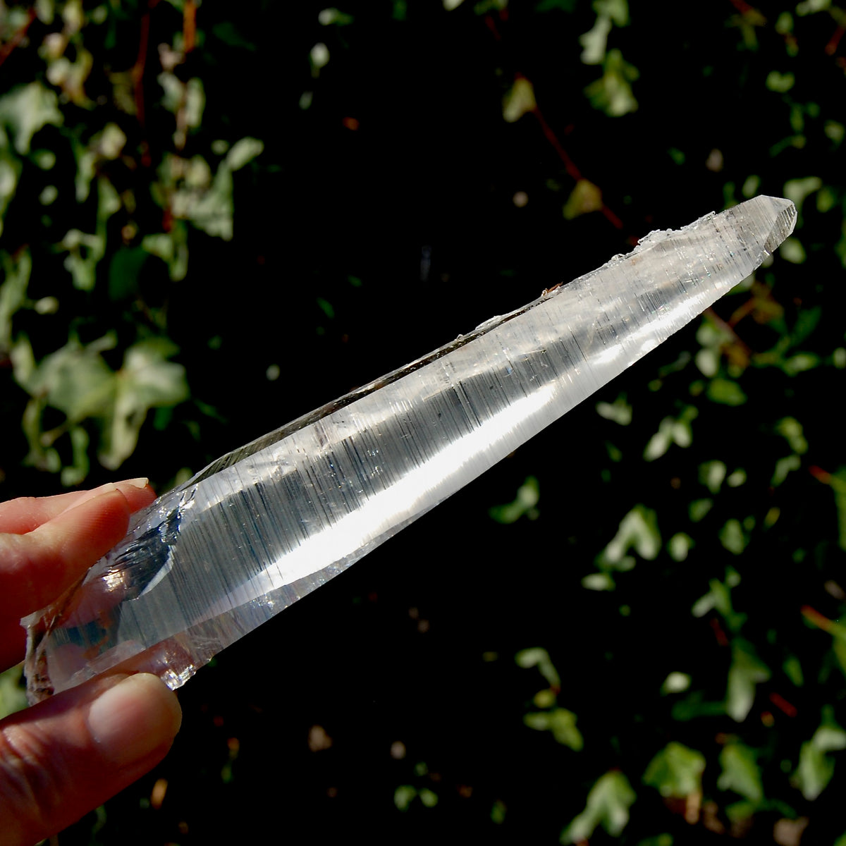 Colombian Lemurian Seed Quartz Crystal