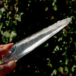 Colombian Lemurian Seed Quartz Crystal