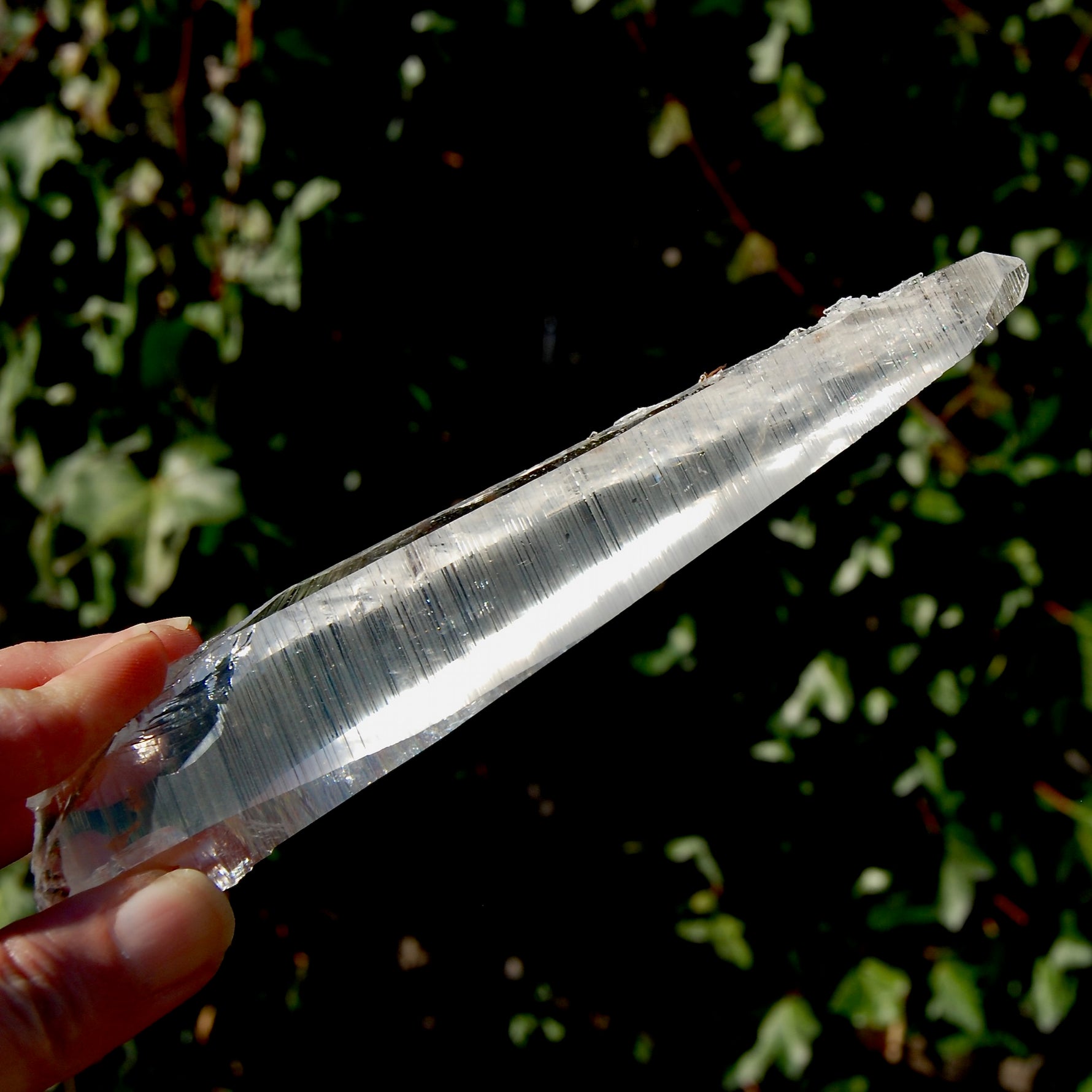 Colombian Lemurian Seed Quartz Crystal