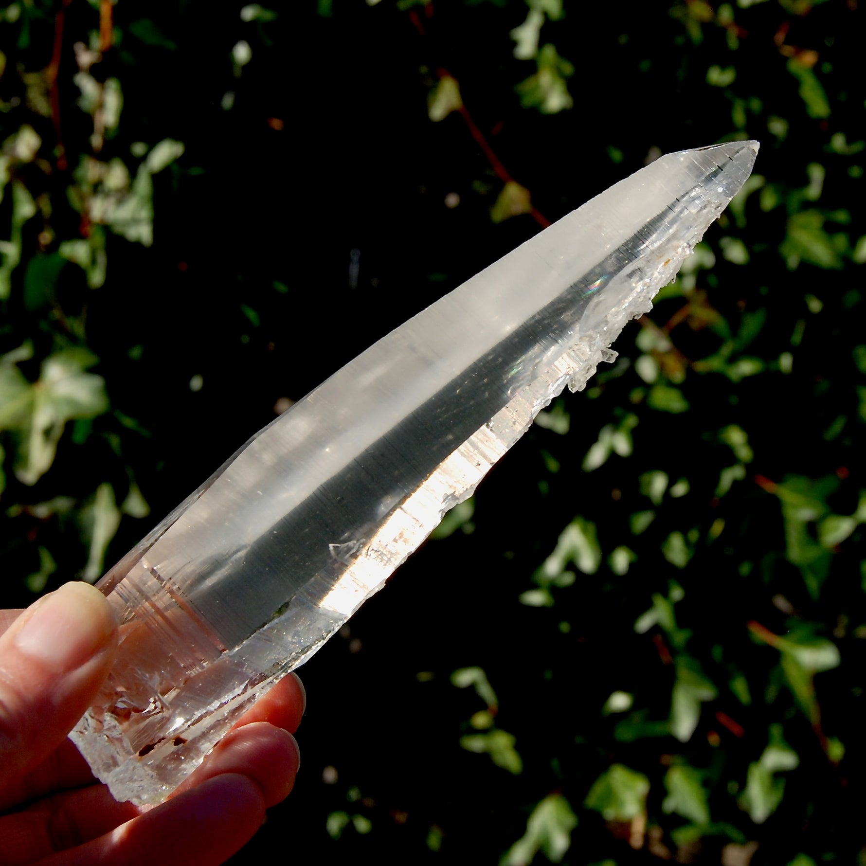 Colombian Lemurian Seed Quartz Crystal