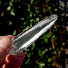 Load image into Gallery viewer, Lemurian Seed Quartz Crystal
