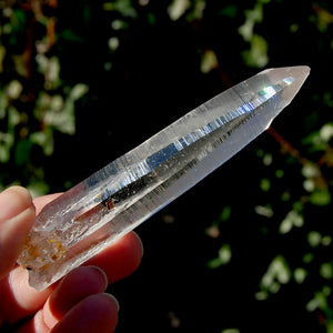 Lemurian Seed Quartz Crystal