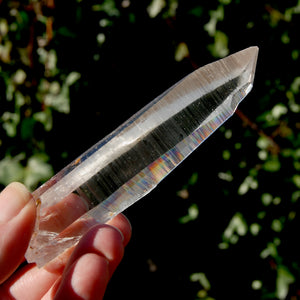 Lemurian Seed Quartz Crystal