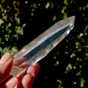 Lemurian Seed Quartz Crystal