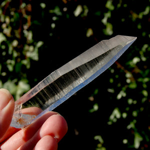 Lemurian Seed Quartz Crystal