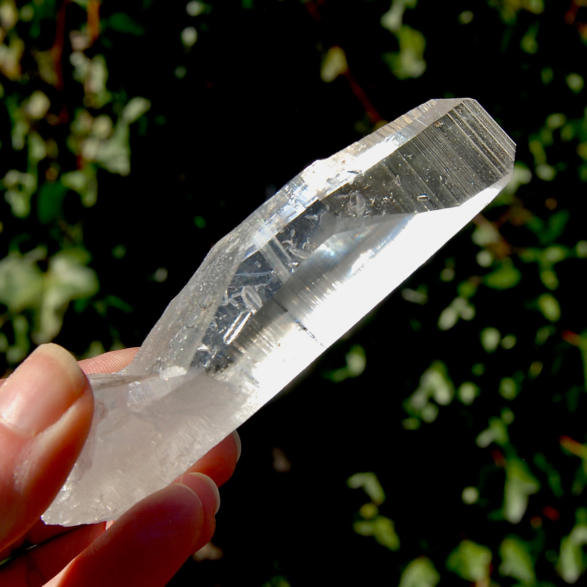 Grounding Lemurian Seed Quartz Crystal